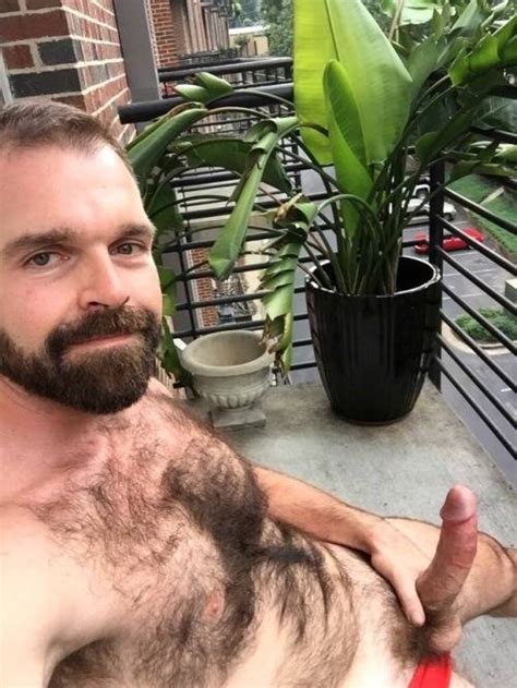 20 Nudes De Machos Peludos E Pentelhudos Homens Pelados BR