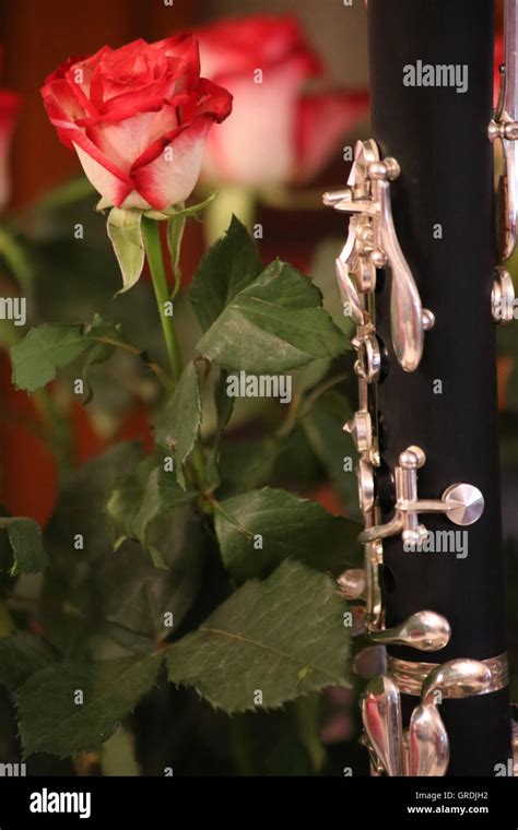 Still Life Red Roses And A Clarinet Stock Photo Alamy