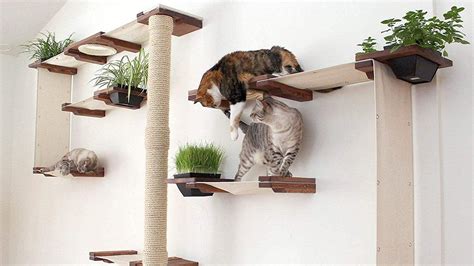 🥇multilevel small cat kitty tree house condo furniture with scratching pads🥇. 19 Modern Cat Trees to Buy Immediately | The Dog People by ...