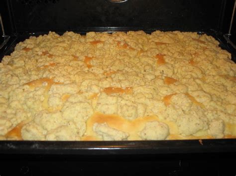 Nach der zwetschgenernte gibt es die blauen früchte in hülle und fülle und ein schneller zwetschgenkuchen lässt sich auch prima auf vorrat backen und einfrieren. Hefeteig-Pudding-Streusel-Kuchen