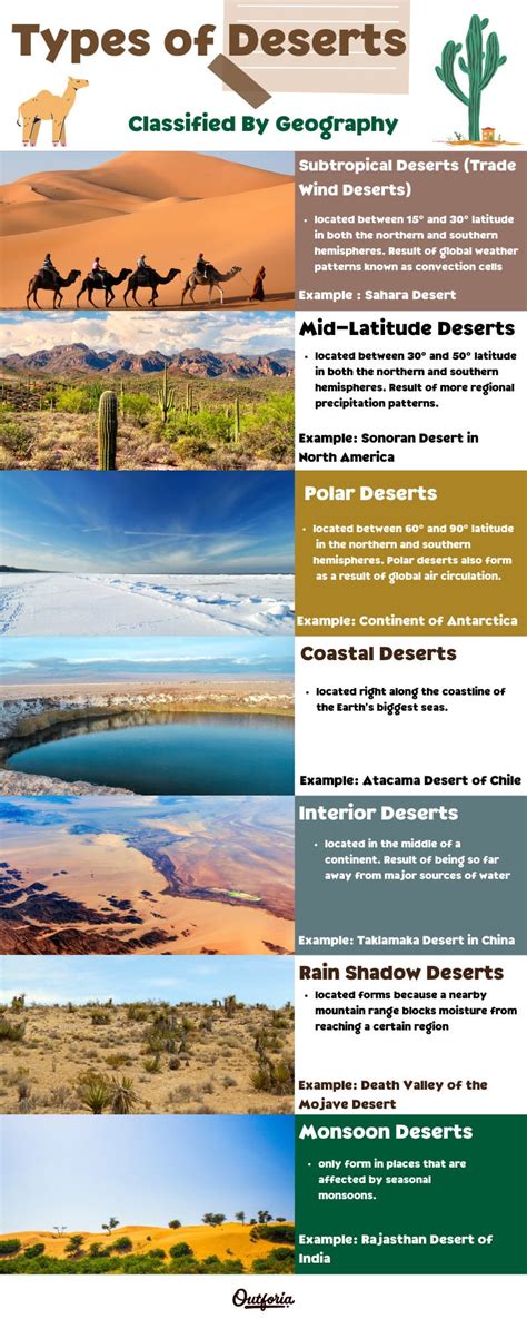 12 Types Of Deserts The Definitive Guide