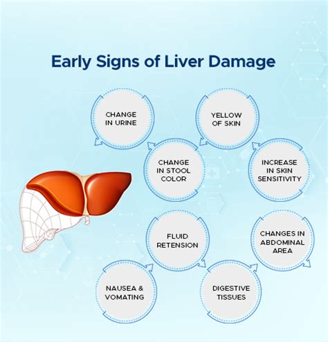 Liver Problems And Damage Symptoms Causes And Transplant Ailbs India