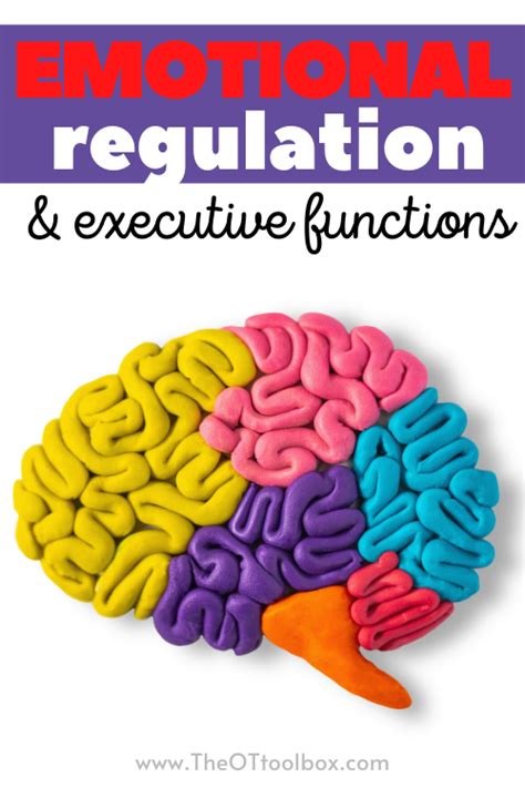 Emotional Regulation And Executive Function The Ot Toolbox