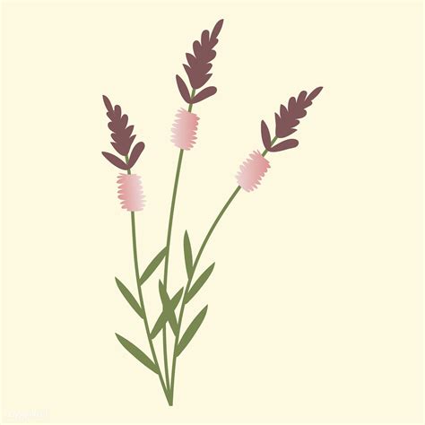 Wild Flower Vector Illustration Free Image By Vector