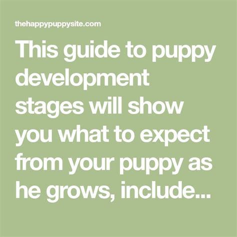 Puppy Development Stages With Growth Charts And Week By Week Guide