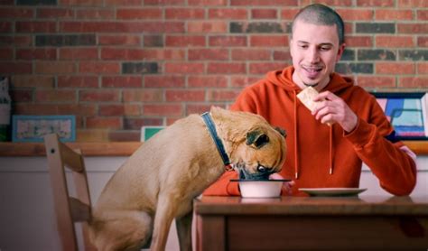 Find organisations providing information and support for the issues raised, including the progress made in hiv treatment since the it's a sin days visit 4viewers. It's Bruno! TV Show on Netflix (Cancelled or Renewed ...