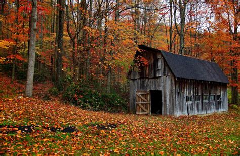 Autumn Cabin In The Wood Wallpaper Nature And Landscape Wallpaper
