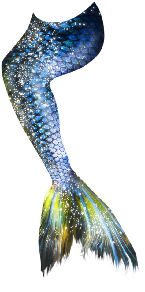 Add more of the color on the left and right of the tail so it is slightly darker on those sides. Mermaid Tail 16 PNG - Photo #514 - Free PNG Download image ...