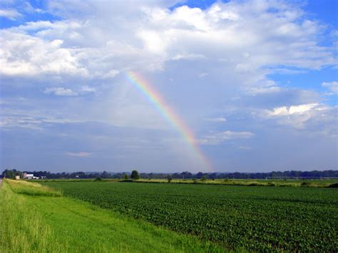Summer Rainbow Over Open Field Free Stock Photo Public Domain Pictures