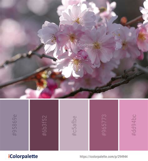 Color Palette Ideas From 1806 Blossom Images Icolorpalette Soothing