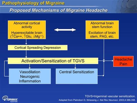 Pathophysiology Of Migraine Ppt