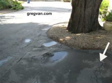 Instead, driveways that are shared by multiple homeowners are known as mutual driveways. Tree Root Asphalt Driveway Damage - Water Puddles And ...