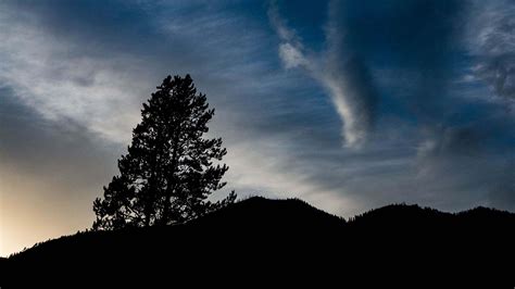 Trees Branches On Hills Under Clouds Sky During Nighttime Hd Nature