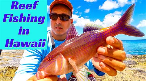 Hawaii Reef Fishing Fishing In Hawaii Hawaii Fishing Hawaii Shore