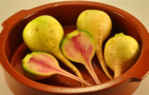 Check spelling or type a new query. vegan ascent: Watermelon Radishes