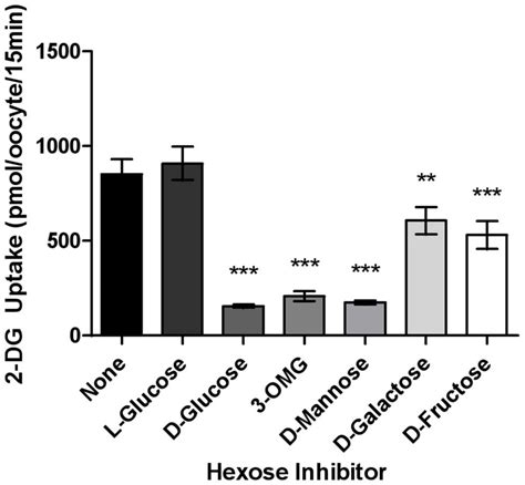 Hexose Sugar Substrate Specificity Of Fgt 1 Oocytes Injected With