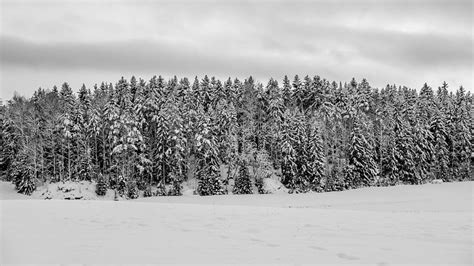 Snowy Countryside Photograph By Christopher Smith Pixels