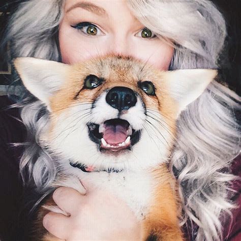 Meet Juniper The Adorable Pet Fox That Cant Stop Smiling