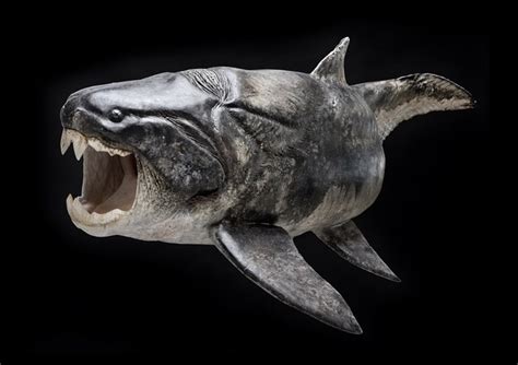 D4sign Real Life Monsters Dunkleosteus