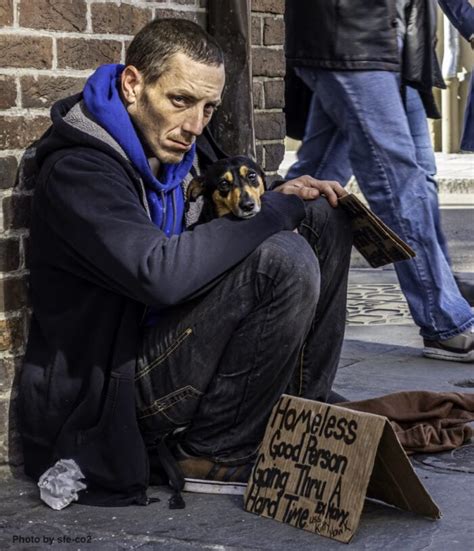 The Homeless And Their Pets Wellbeing International