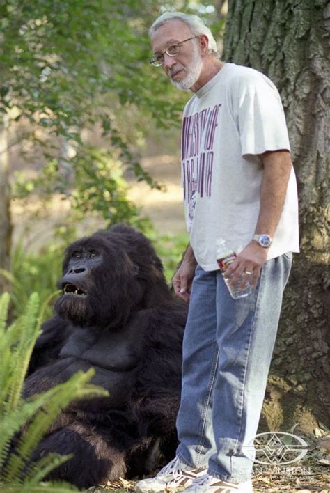 Incredible Gorilla Special Effects By Stan Winston