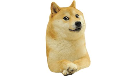 Le Doge In Full Hd Has Arrived Rdogelore