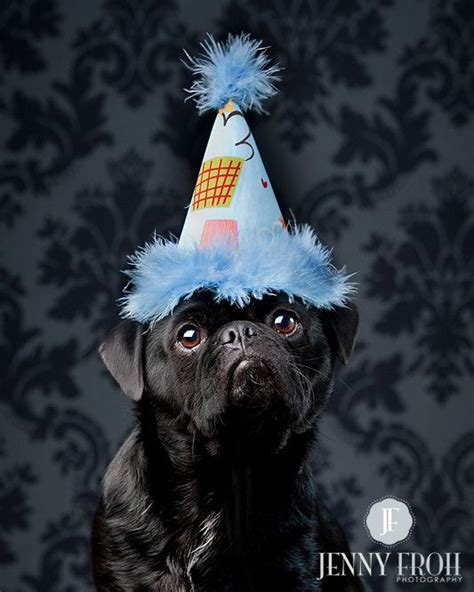 Blue Cupcake Dog Birthday Hat Etsy Dog Birthday Hat Dog Birthday