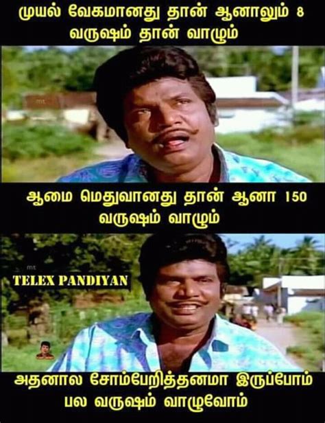 Memes Jokes In Tamil Jokes Mania