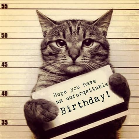 Happy Birthday Cat Images Funny Printable Template Calendar