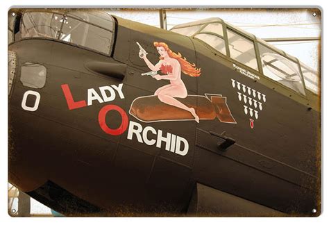 Lady Orchid Wwii Aircraft Nose Art Pinup Girl 18 X 12 Metal Etsy