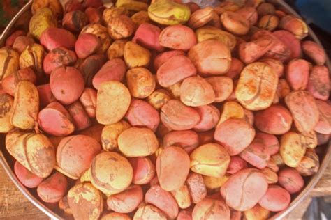 Kola Nuts By Laotech Made In Nigeria