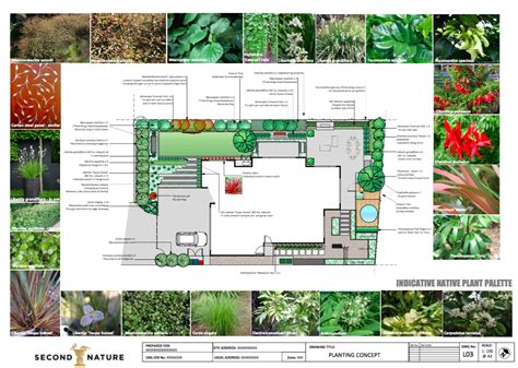 Planting Plans Landscape Design Garden Care Services And Gardening