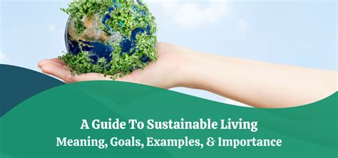 A Guide To Sustainable Living Meaning Goals Examples Importance