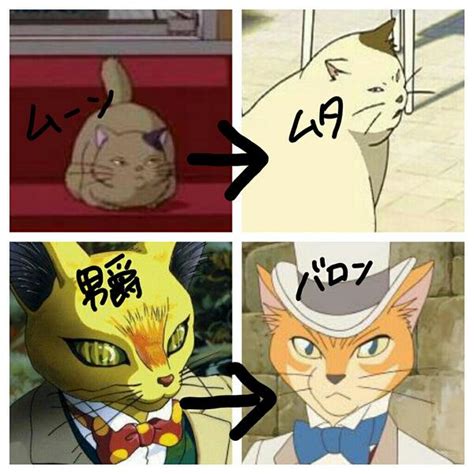 Sep 28, 2016 · 耳をすませばと猫の恩返しの関係性は？バロンやムタの繋がりを紹介; tweet : 金曜ロードショー『耳をすませば』 放送時のオモシロ ...