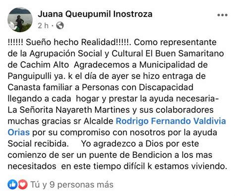 Fanpage oficial de la i. Municipalidad de Panguipulli - Posts | Facebook