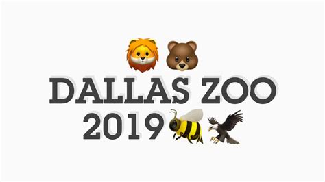 Dallas Zoo 2019 Youtube