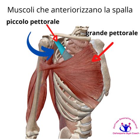 Spalla Dolorosa Esercizi Efficaci E Controllo Della Postura Per