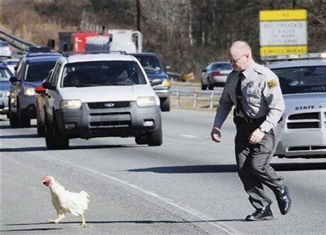 These Hilarious Police Photos Will Show You The Lighter Side Of The Law