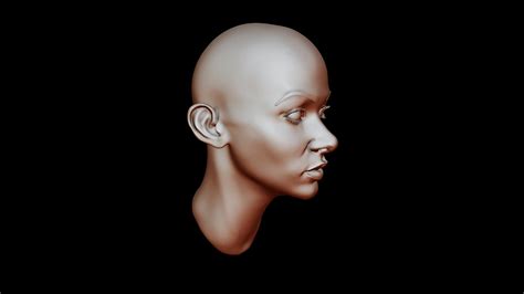 Female Face Study 01 3d Model By Rushivamshi 22f67ac Sketchfab