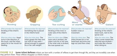 Physical Development Newborn Assessment Child Nursing Pediatric Nursing