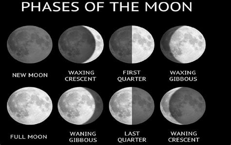 Brennan Allen On Twitter Louisecbc Infomorning Phases Of The Moon