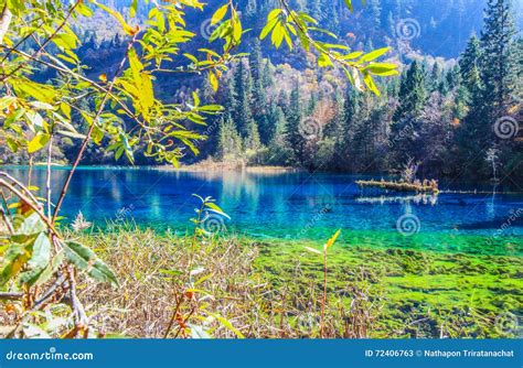 Five Flower Lakejiuzhaigounorth Of Sichuan Province China Stock