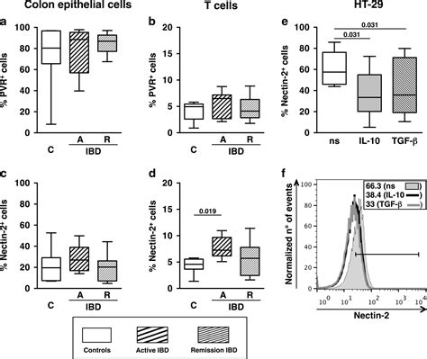 Fine Tuning Of The DNAM 1 TIGIT Ligand Axis In Mucosal T Cells And Its
