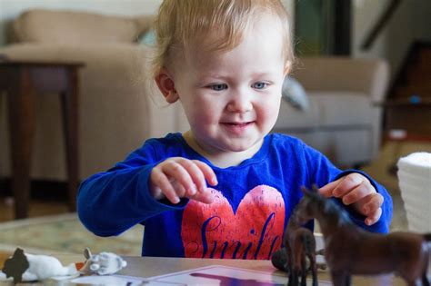 Object-to-Picture Matching for Montessori Toddlers