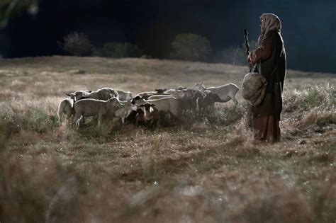 The Shepherds Keeping Watch Renner Ministries