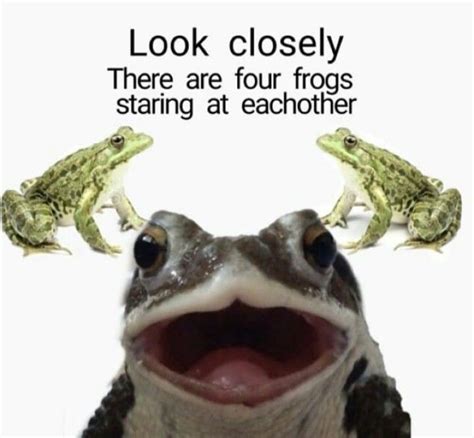 GØblincÕre • — Truth Has Been Spoken Frog Frog Meme Cute Frogs