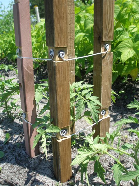 Garden Tomato Cage 3 Steps Instructables