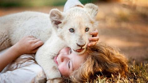 Son père a décidé mia a 11 ans quand elle noue une relation hors du commun avec charlie, un lionceau blanc né dans la ferme d'élevage de félins de ses parents en afrique du sud. 19-L Mia et le Lion blanc 18/11 11h00 - Festival du Film ...
