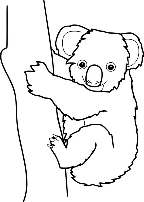 Coloriage Koala à Imprimer