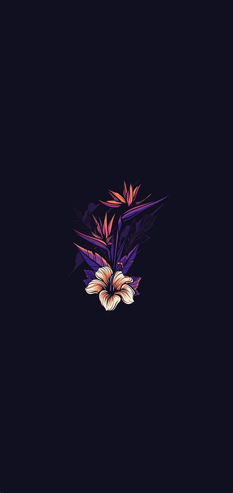 Flower Amoled Wallpapers Wallpaper Cave